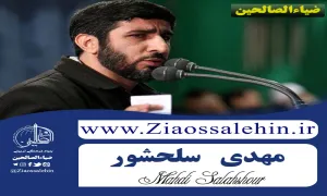 استوری شب اول محرم | هلال نو سرزده زهرا عزاداره - حاج مهدی سلحشور