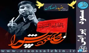 نماهنگ جدید فاطمیه | «علی تنها» از حاج مسعود پیرایش (فیلم، صوت، متن)