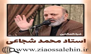 مباحث «انسان شناسی» - استاد شجاعی (جلسه 265) / غصه دنیا را خوردن