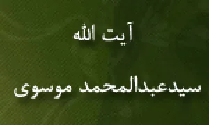 آیت الله سیدعبدالمحمد موسوی,عالم مسلمان,گنجینه تصاویر ضیاءالصالحین