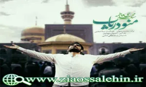 نماهنگ منو دریاب آقا / سیدمجید بنی فاطمه