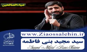 نماهنگ «یا امام رضا مدد» از سید مجید بنی فاطمه (کلیپ، صوت، متن) / ویژه شهادت امام رضا  