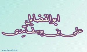 ابوالفضایل,علی بن یوسف آمِدی,ادیب عرب,شاعر,گنجینه تصاویر ضیاءالصالحین