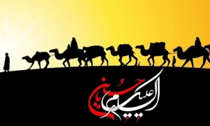 اهداف امام حسین علیه السلام از رفتن به کربلا