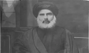 علامه سید عبد الحسین شرف الدین عاملی(ره)