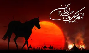 استوری روز عاشورا | ای ماهی غرق خونم