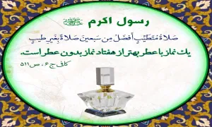 ضیاءالصالحین