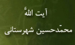  آیت اللَّه محمّدحسین شهرستانی,گنجینه تصاویر ضیاءالصالحین