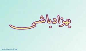 بهزاد باشی,نویسنده معروف,ادیب ایرانی,مترجم ایرانی,گنجینه تصاویر ضیاءالصالحین