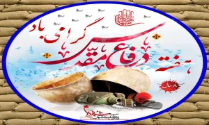 ضیاءالصالحین