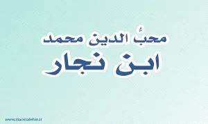 محبُّ الدین محمد بن نجار,گنجینه تصاویر ضیاءالصالحین