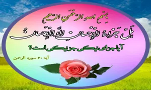 ضیاءالصالین