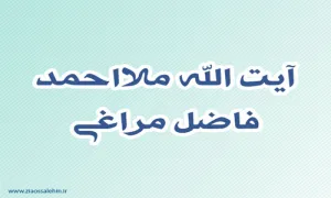 آیت الله ملااحمد فاضل مراغی,گنجینه تصاویر ضیاءالصالحین