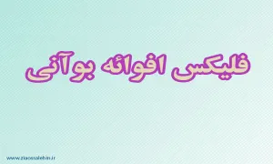 فلیکس افوائه بوآنی,فلیکس بوآنی,سیاستمدار,گنجینه تصاویر ضیاءالصالحین