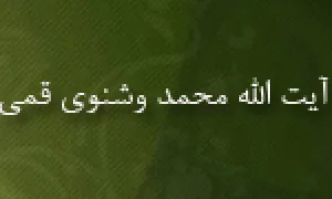 آیت الله محمد وشنوی قمی,محدث,مورخ,گنجینه تصاویر ضیاءالصالحین