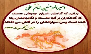 ضیاءالصالحین