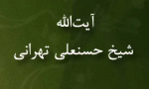 آیت اللَّه شیخ حسنعلی تهرانی,گنجینه تصاویر ضیاءالصالحین 