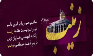 ضیاءالصالحین