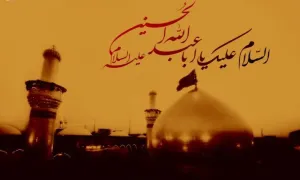 کربلا,حرم امام حسین,گنجینه تصاویر ضیاءالصالحین