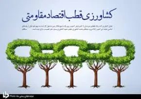 ضیاءالصالحین