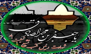 ضیاءالصالحین