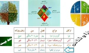 ویژگیهای افراد دارای مزاج سرد و تر (افراد بلغمی) و علائم غلبه خلط بلغم