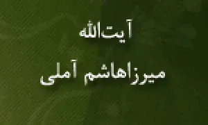 آیت اللَّه میرزا هاشم آملی,گنجینه تصاویر ضیاءالصالحین