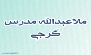 ملاعبدالله مدرس گرجى,گنجینه تصاویر ضیاءالصالحین