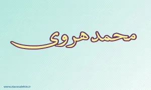 محمد هروی,ادیب و مورخ,برجسته ترین مورخ,گنجینه تصاویر ضیاءالصالحین