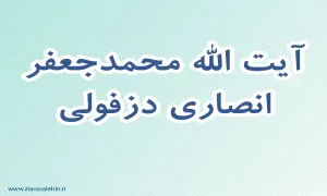 آیت الله محمدجعفر انصاری دزفولی,گنجینه تصاویر ضیاءالصالحین