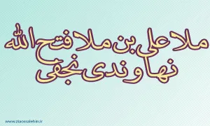 ملاعلی بن ملافتح الله نهاوندی نجفی,فقیه اصولی,عالم امامی,فقیه امامی,گنجینه تصاویر ضیاءالصالحین