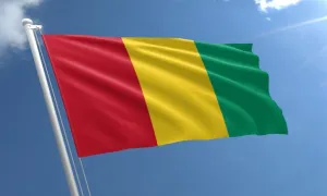 پرچم گینه,guinea,گنجینه تصاویر ضیاءالصالحین