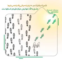 مباحث «انسان شناسی» - استاد شجاعی (جلسه 32) / ارتباط با خلیفة الله