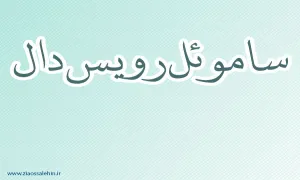 ساموئل رویس دال,نقاش هلندی,نقاش معروف,گنجینه تصاویر ضیاءالصالحین