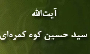 آیت الله سیدحسین کوه کمره ای(گنجینه تصاویر ضیاءالصالحین)