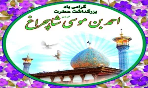 ضیاءالصالحین