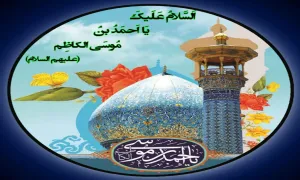 یا شاهچراغ (علیه السلام)