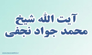 آیت الله شیخ محمد جواد نجفی,گنجینه تصاویر ضیاءالصالحین