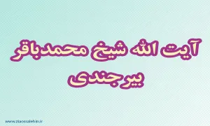 آیت الله شیخ محمدباقر بیرجندی,بیرجندی,عالم دینی,گنجینه تصاویر ضیاءالصالحین