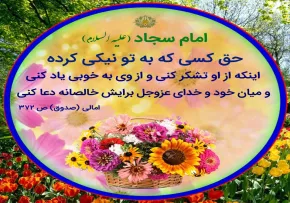 ضیاءالصالحین