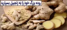 روده بزرگ خود را به زنجبیل بسپارید