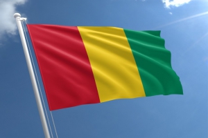 روز ملی و استقلال کشور افریقایی گینه از استعمار فرانسه ...