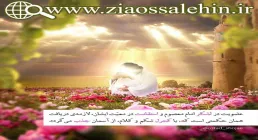 اسرار روزه استاد محمد شجاعی/ قسمت 19