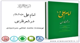 امام علی علیه السلام در شعر فارسی