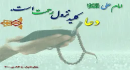 ضیاءالصالحین