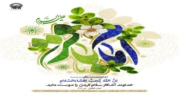 ضیاءالصالحین