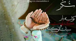 مباحث «شُکر» - استاد محمد شجاعی | جلسه 8