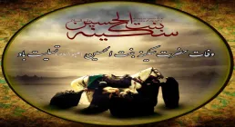 ضیاءالصالحین