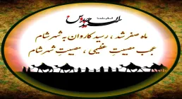 ضیاءالصالحین