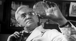 الکساندر فلمینگ,Sir Alexander Fleming,گنجینه تصاویر ضیاءالصالحین